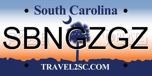 SBNGZGZ South Carolina License Plate