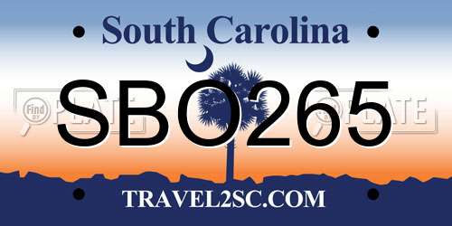 SBO265 South Carolina License Plate