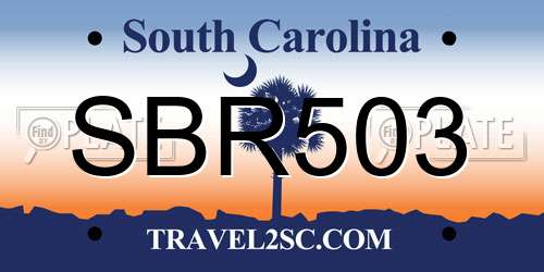 SBR503 South Carolina License Plate
