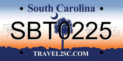 SBT0225 South Carolina License Plate