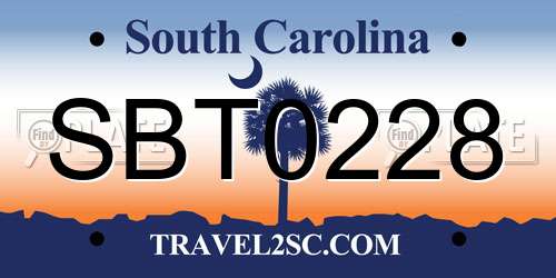 SBT0228 South Carolina License Plate