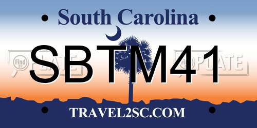SBTM41 South Carolina License Plate