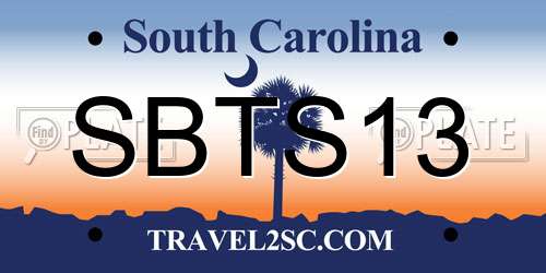 SBTS13 South Carolina License Plate
