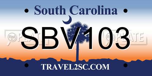 SBV103 South Carolina License Plate