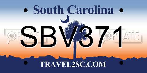 SBV371 South Carolina License Plate