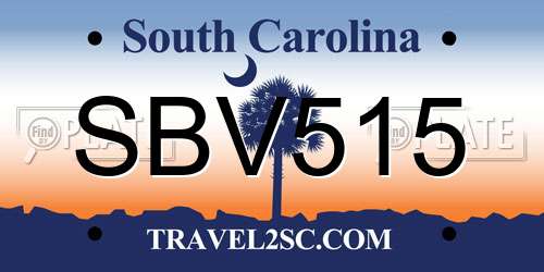 SBV515 South Carolina License Plate
