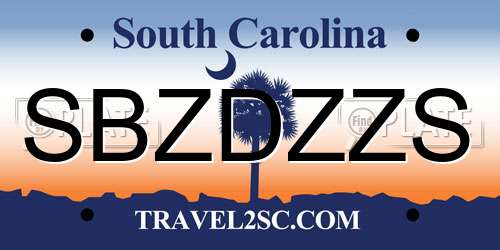 SBZDZZS South Carolina License Plate
