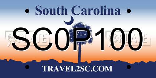 SC0P100 South Carolina License Plate