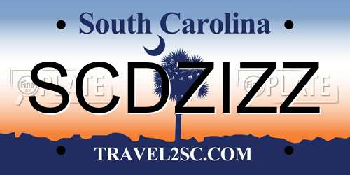 SCDZIZZ South Carolina License Plate