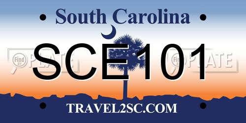 SCE101 South Carolina License Plate