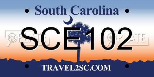 SCE102 South Carolina License Plate