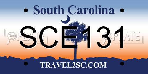 SCE131 South Carolina License Plate