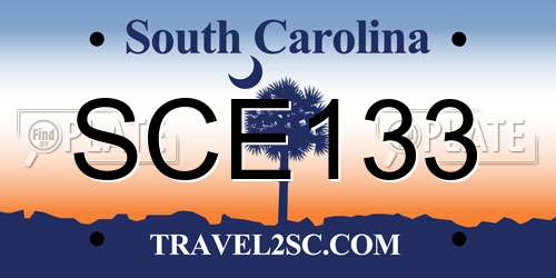 SCE133 South Carolina License Plate