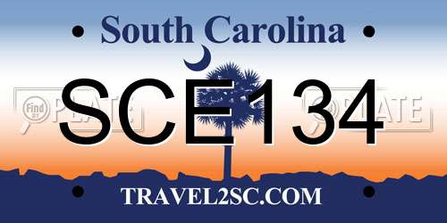 SCE134 South Carolina License Plate