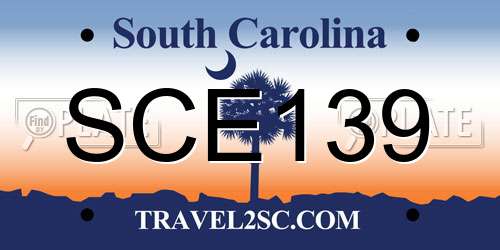 SCE139 South Carolina License Plate