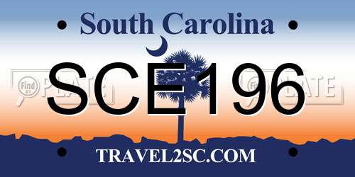 SCE196 South Carolina License Plate