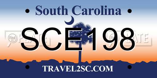 SCE198 South Carolina License Plate