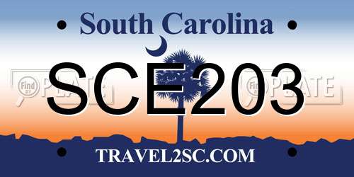 SCE203 South Carolina License Plate