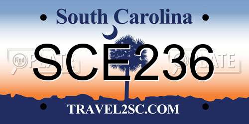 SCE236 South Carolina License Plate