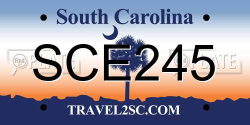 SCE245 South Carolina License Plate