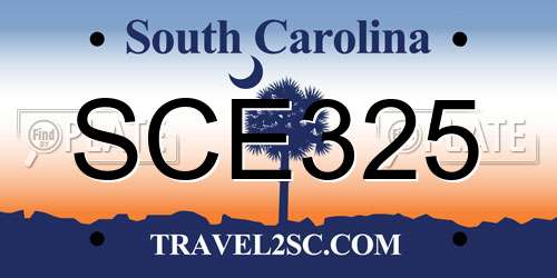 SCE325 South Carolina License Plate
