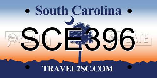 SCE396 South Carolina License Plate