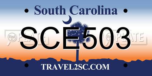 SCE503 South Carolina License Plate