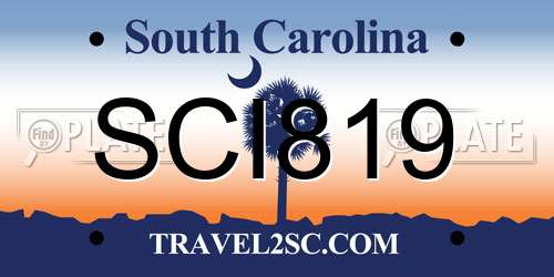 SCI819 South Carolina License Plate