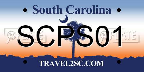 SCPS01 South Carolina License Plate