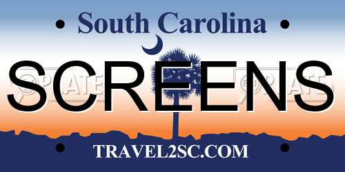 SCREENS South Carolina License Plate