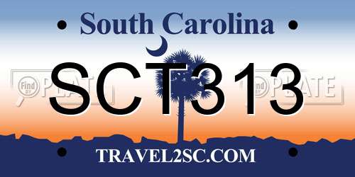 SCT313 South Carolina License Plate