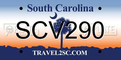 SCV290 South Carolina License Plate