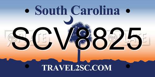 SCV8825 South Carolina License Plate