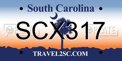 SCX317 South Carolina License Plate