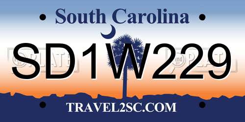 SD1W229 South Carolina License Plate