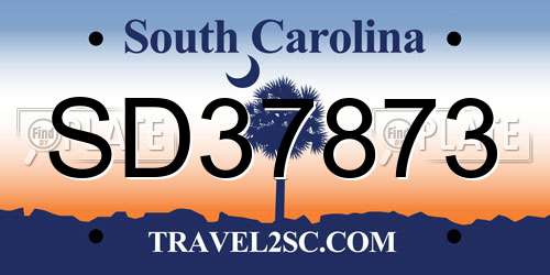 SD37873 South Carolina License Plate
