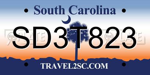 SD3T823 South Carolina License Plate