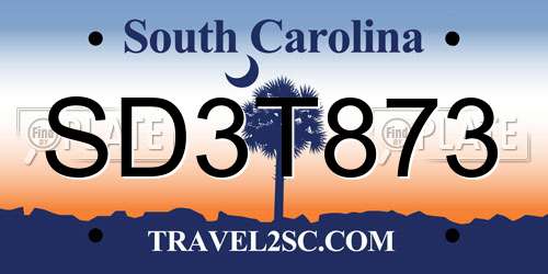 SD3T873 South Carolina License Plate