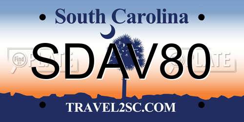 SDAV80 South Carolina License Plate