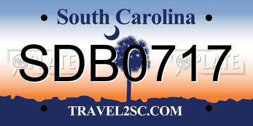 SDB0717 South Carolina License Plate