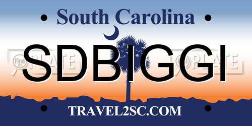 SDBIGGI South Carolina License Plate