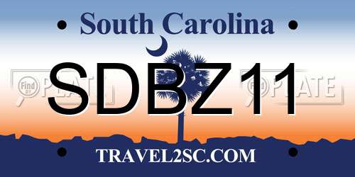 SDBZ11 South Carolina License Plate