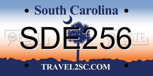 SDE256 South Carolina License Plate