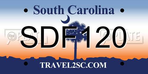 SDF120 South Carolina License Plate