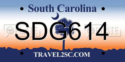 SDG614 South Carolina License Plate