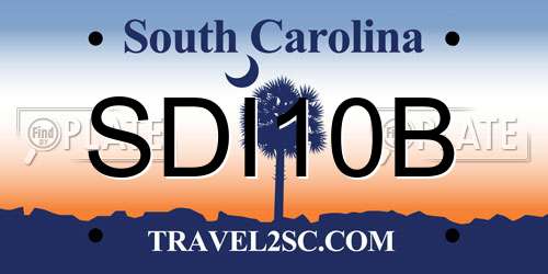 SDI10B South Carolina License Plate
