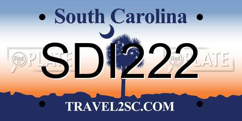 SDI222 South Carolina License Plate