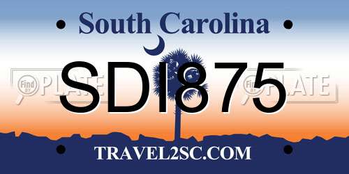 SDI875 South Carolina License Plate
