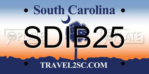 SDIB25 South Carolina License Plate