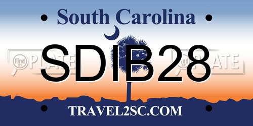 SDIB28 South Carolina License Plate